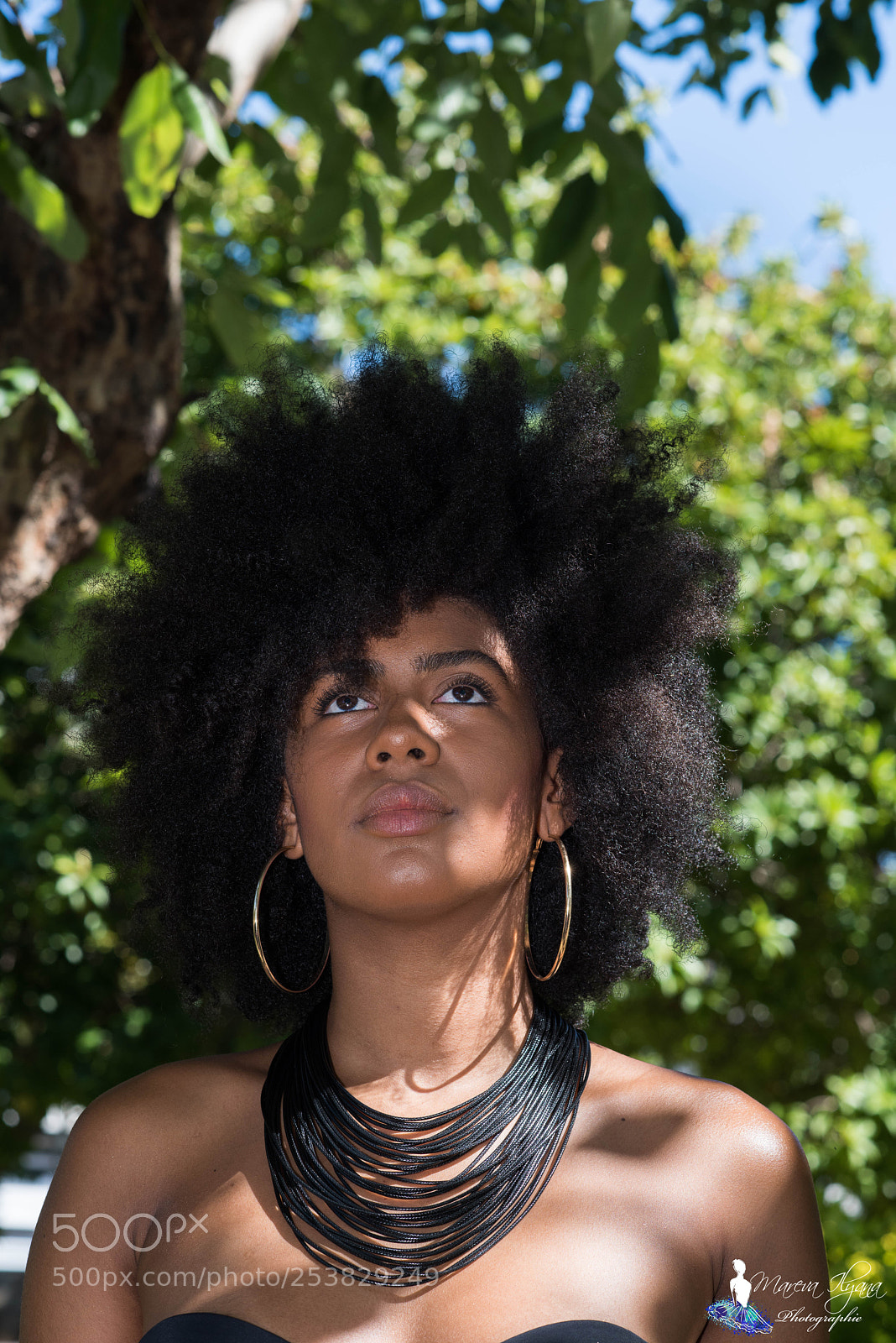 Nikon D810 sample photo. Afrikastyle shop photography
