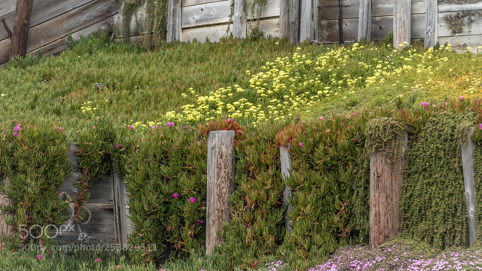 Canon EOS 80D sample photo. Ocean beach sea wall photography