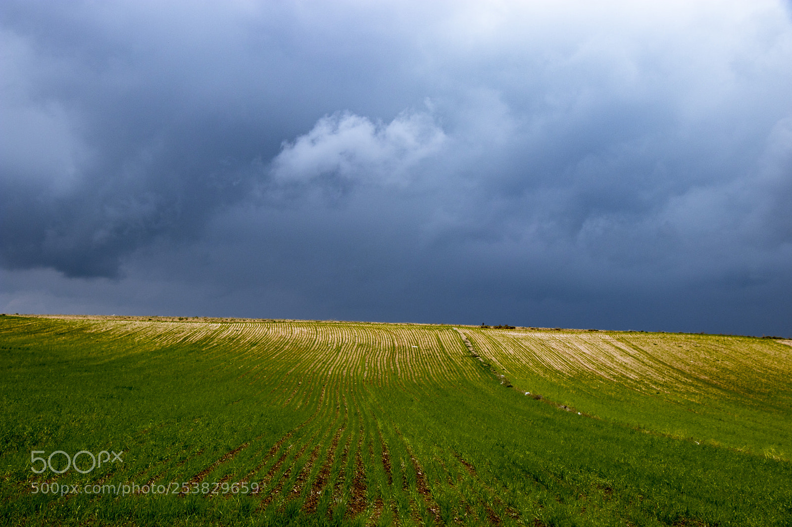 Canon EOS 80D sample photo. Cloudy sky photography