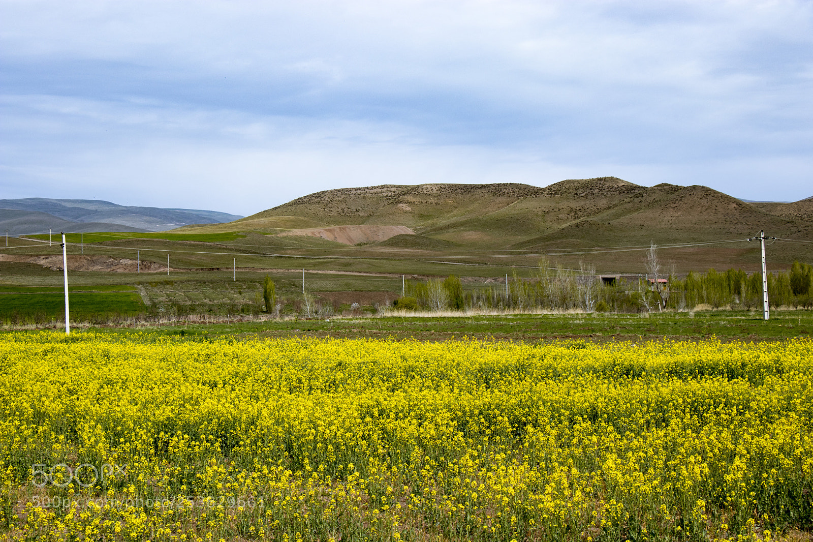 Canon EOS 80D sample photo. Golden plain photography