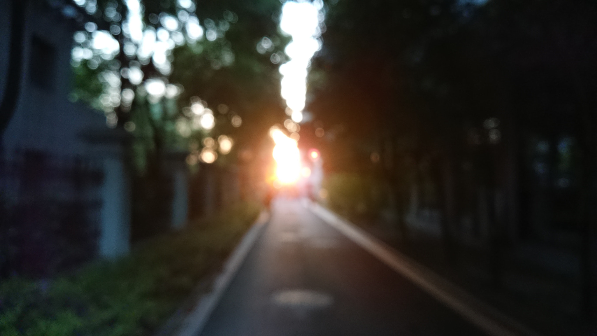 Sony Xperia XZ1 Compact sample photo