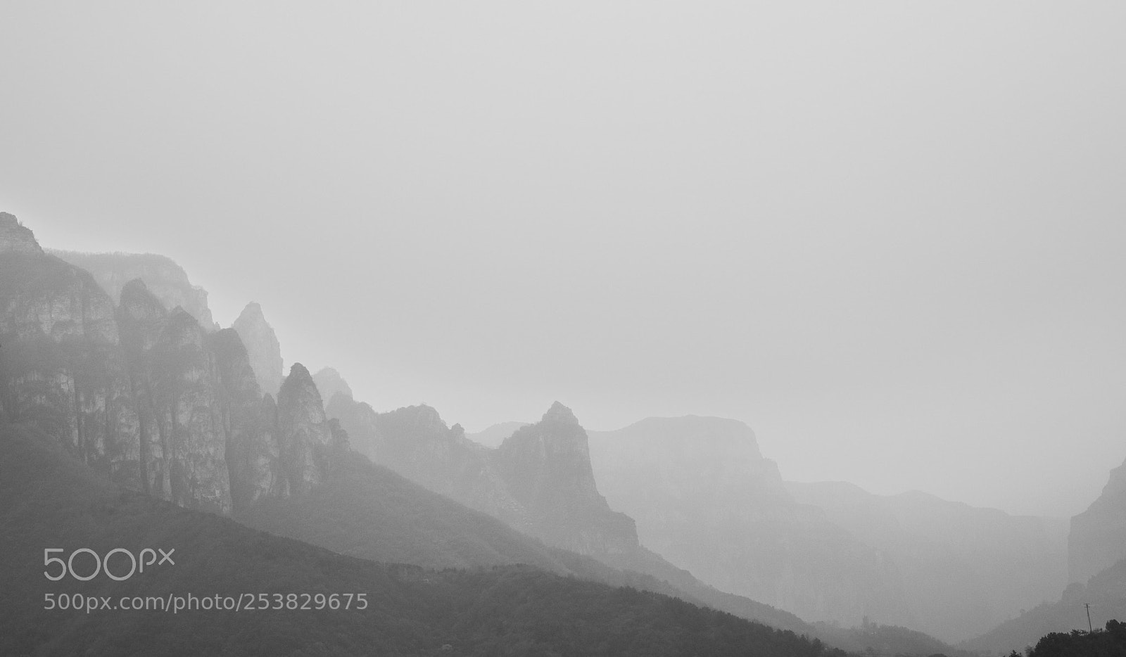 Canon EOS 5D Mark IV sample photo. Morning fog photography