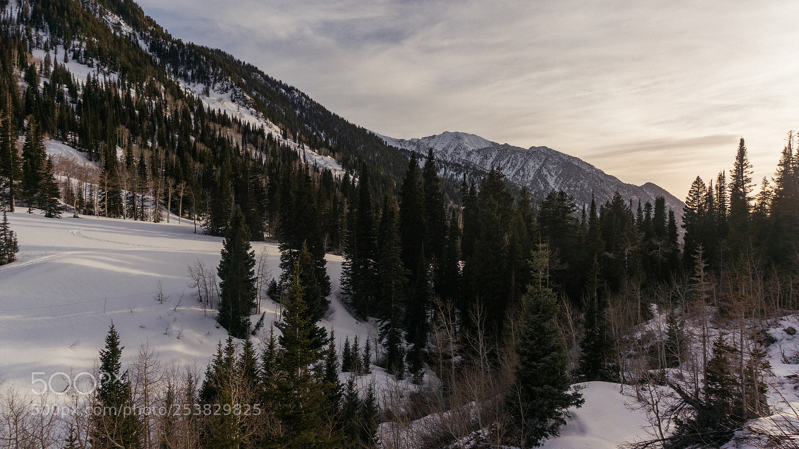 Sony Alpha NEX-6 sample photo. @ snowbird part 2 photography