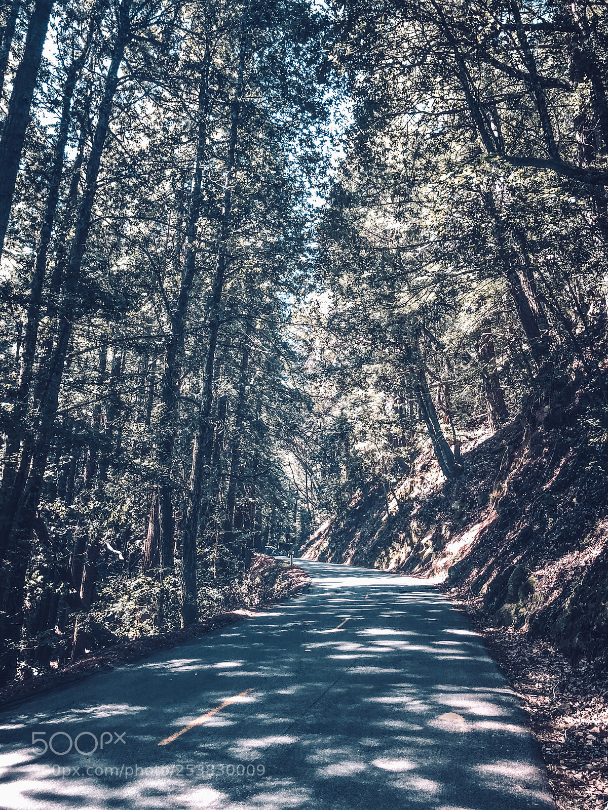 Apple iPhone X sample photo. Bike climb through the photography