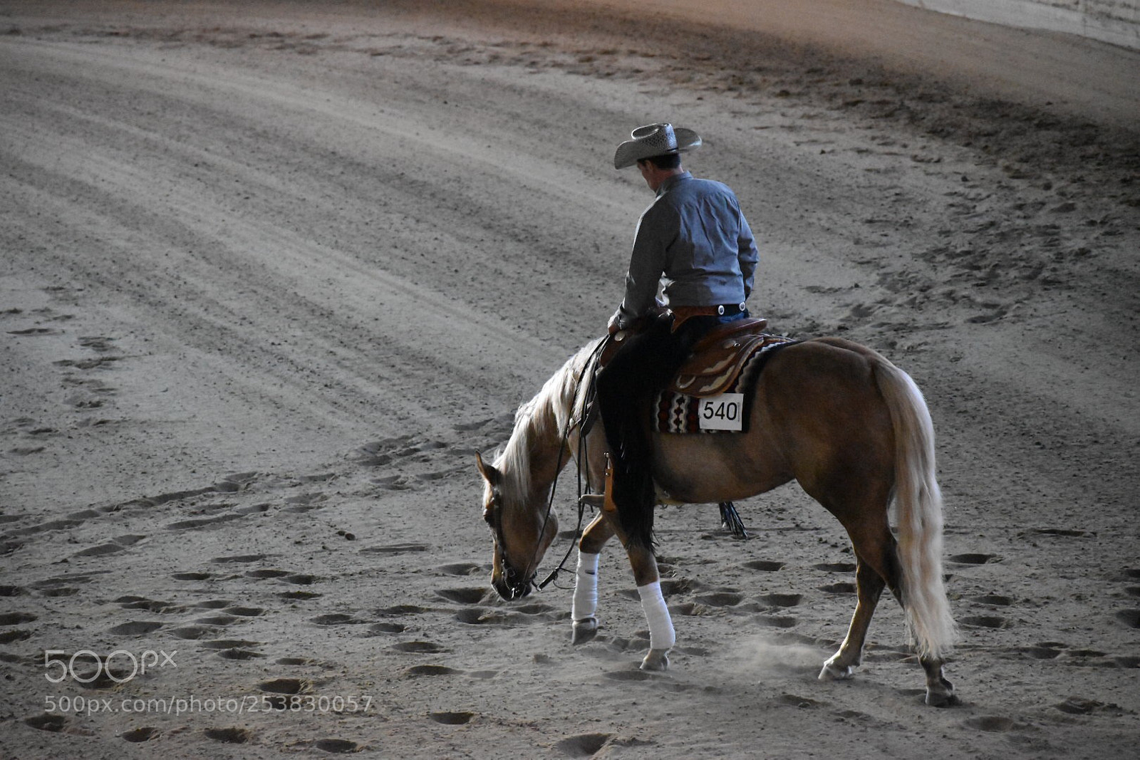 Nikon D5600 sample photo. Mistys tinseltown photography