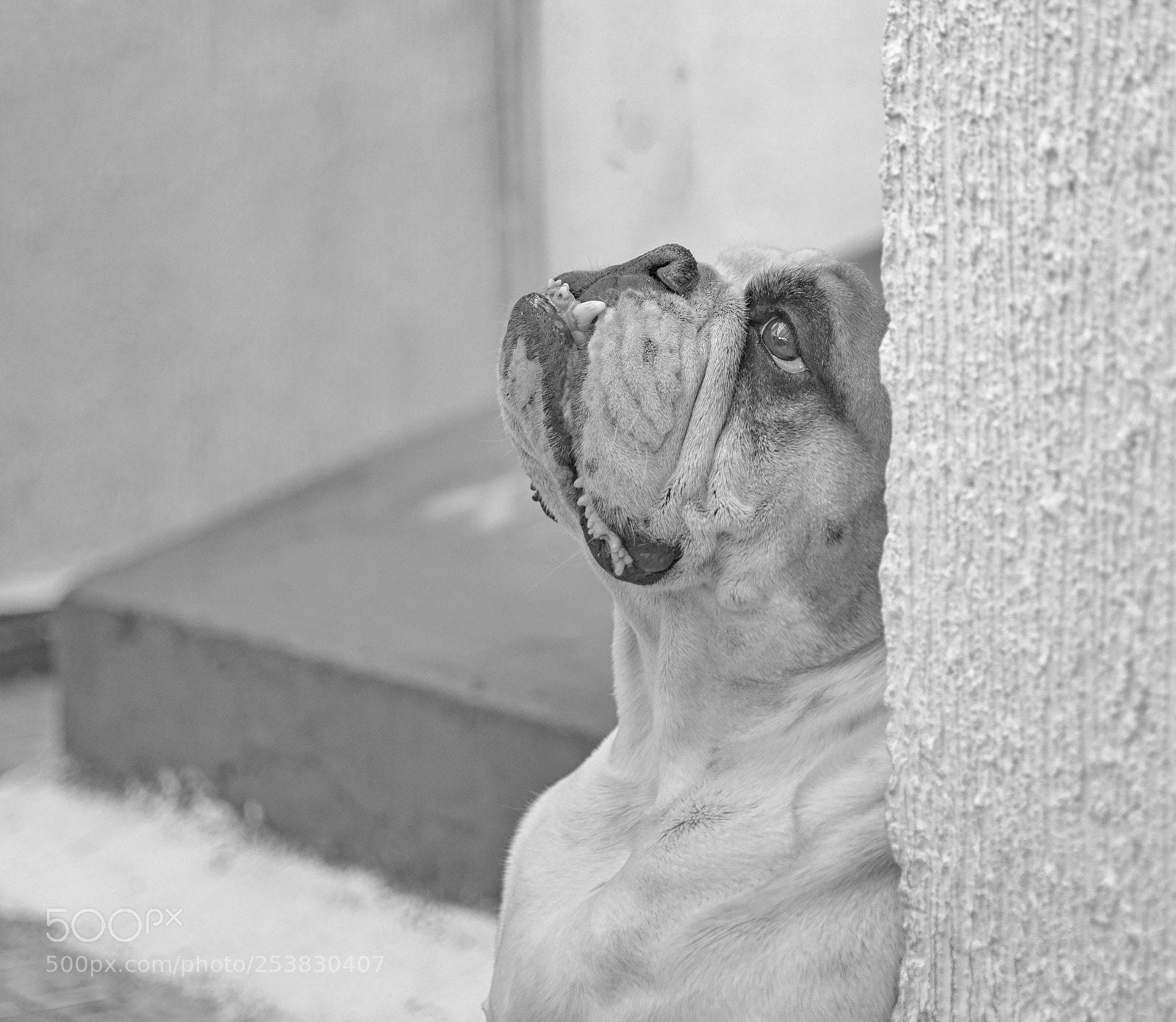 Nikon D7100 sample photo. Maila photography