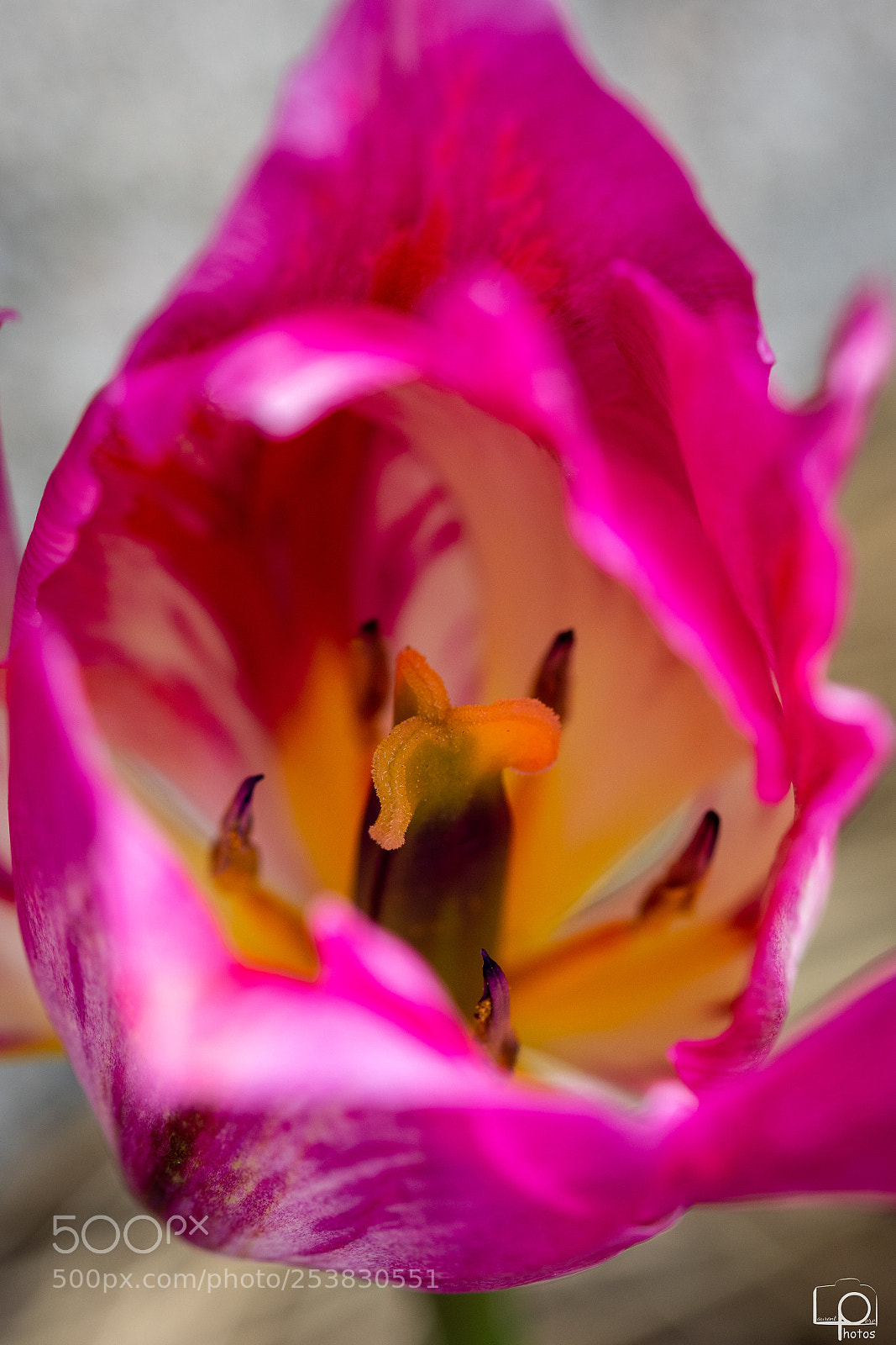 Nikon D3400 sample photo. Lp photography