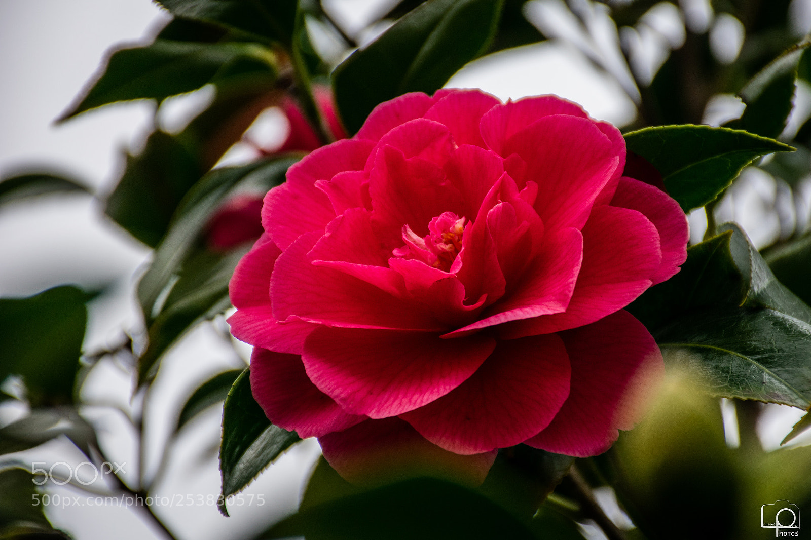 Nikon D3400 sample photo. Dsc photography