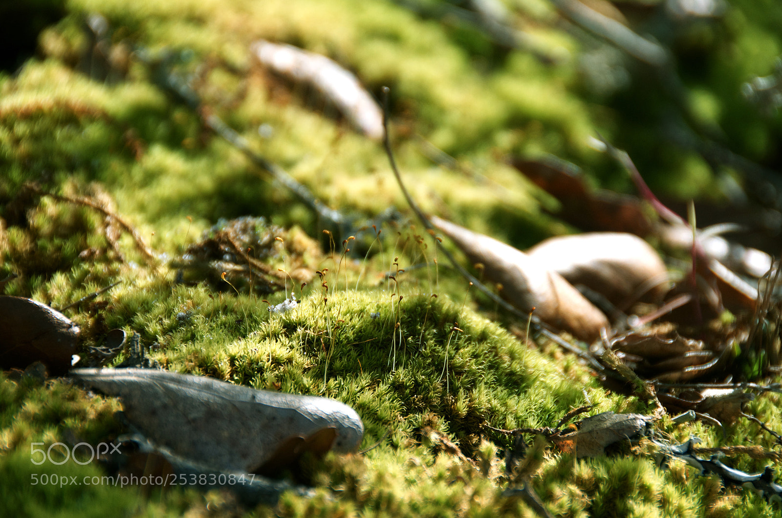 Nikon D7000 sample photo. We re all a photography