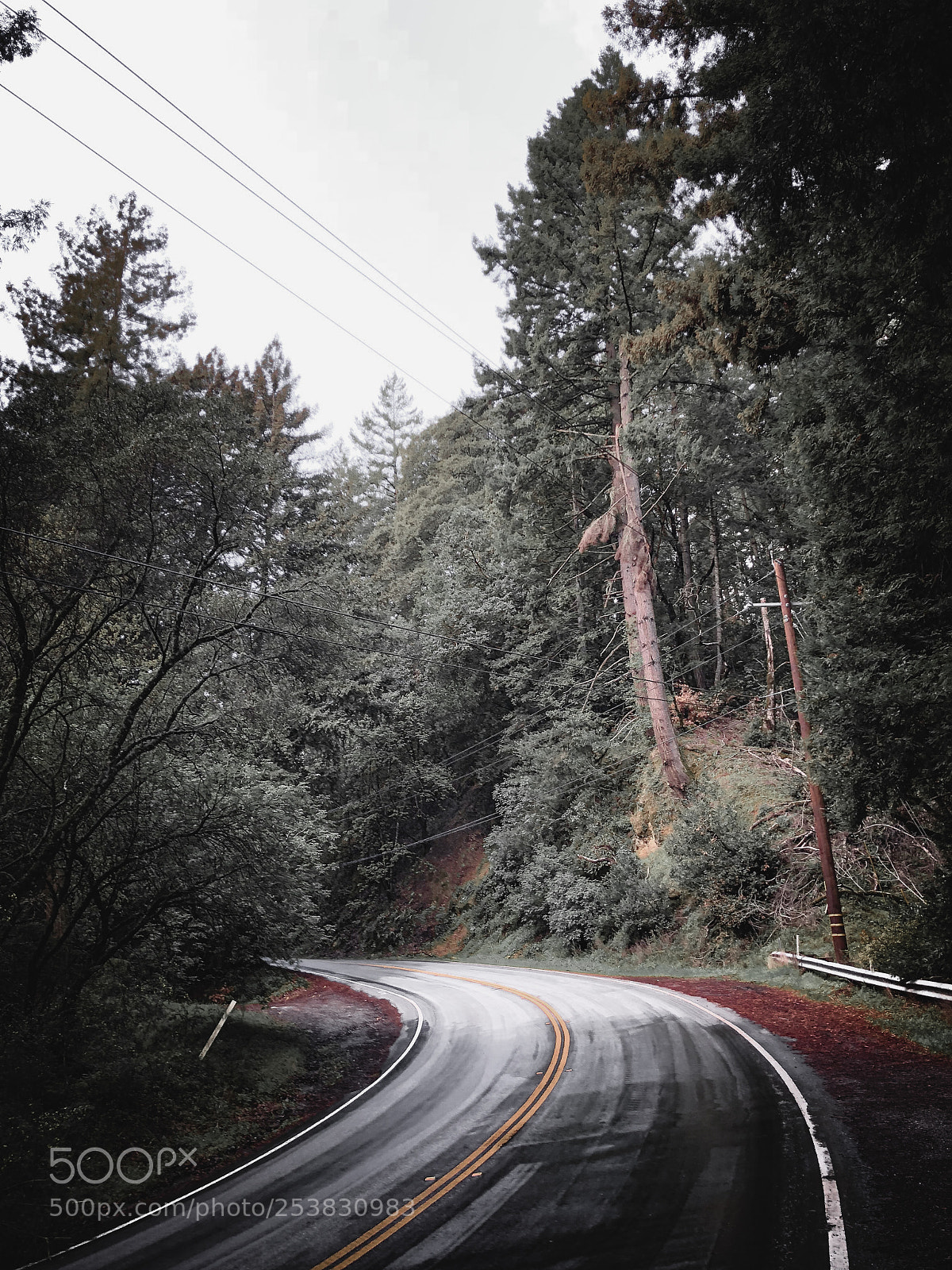 Apple iPhone X sample photo. Road through the mountain photography