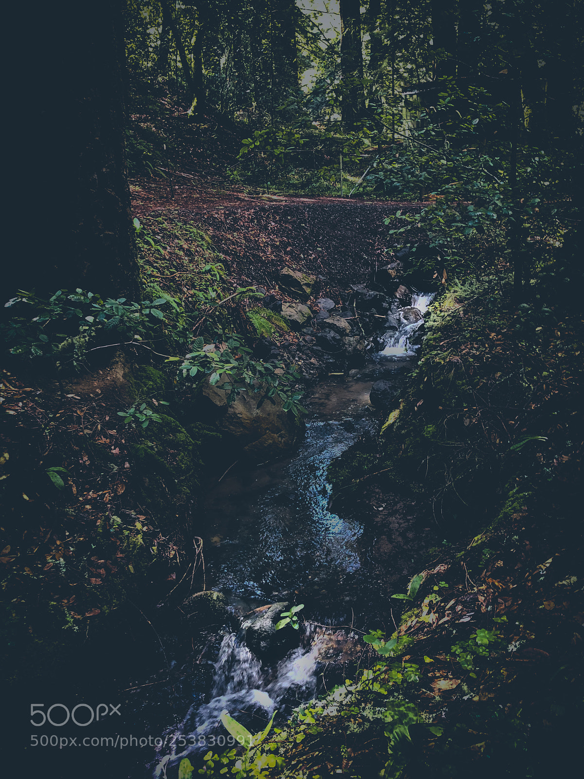 Apple iPhone X sample photo. Mini waterfall in the photography