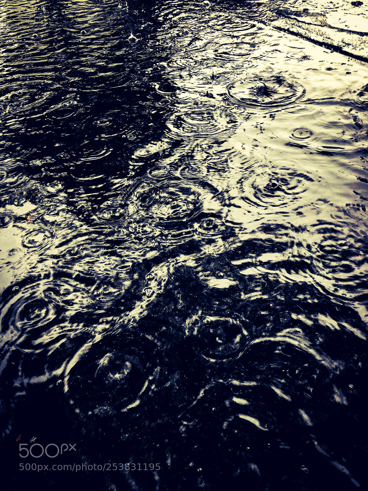 Apple iPhone X sample photo. Rain in the water photography