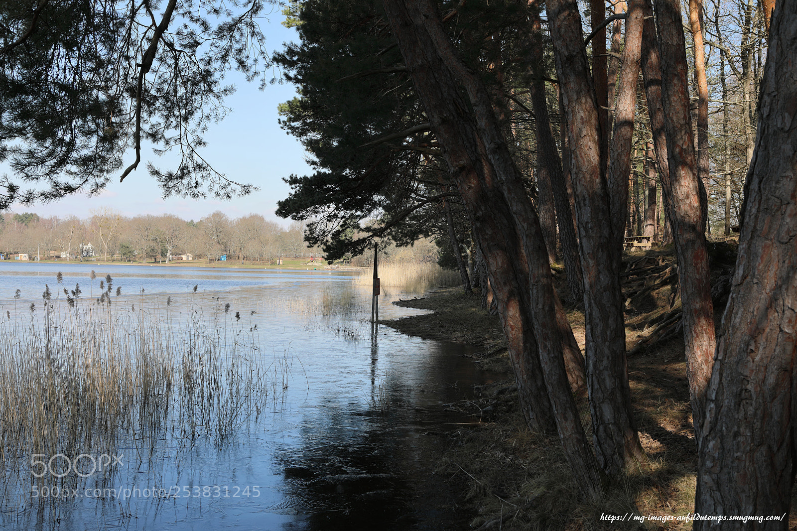 Canon EOS 5D Mark IV sample photo. Winter morning in the photography