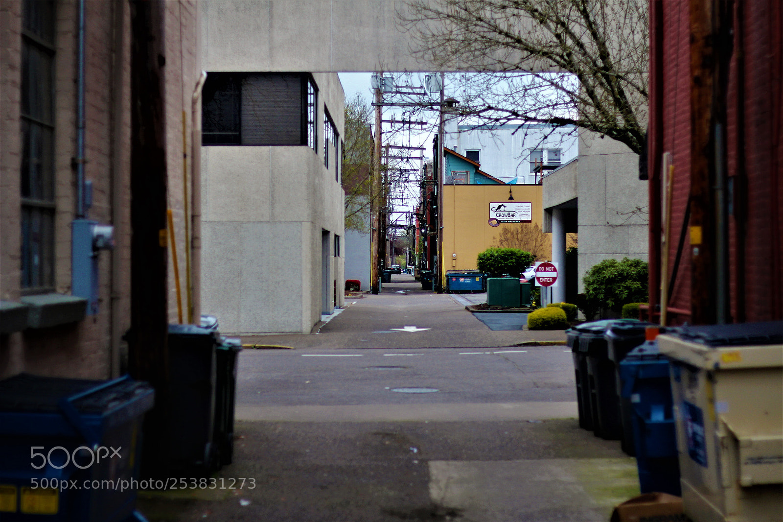 Canon EOS 600D (Rebel EOS T3i / EOS Kiss X5) sample photo. Alley photography