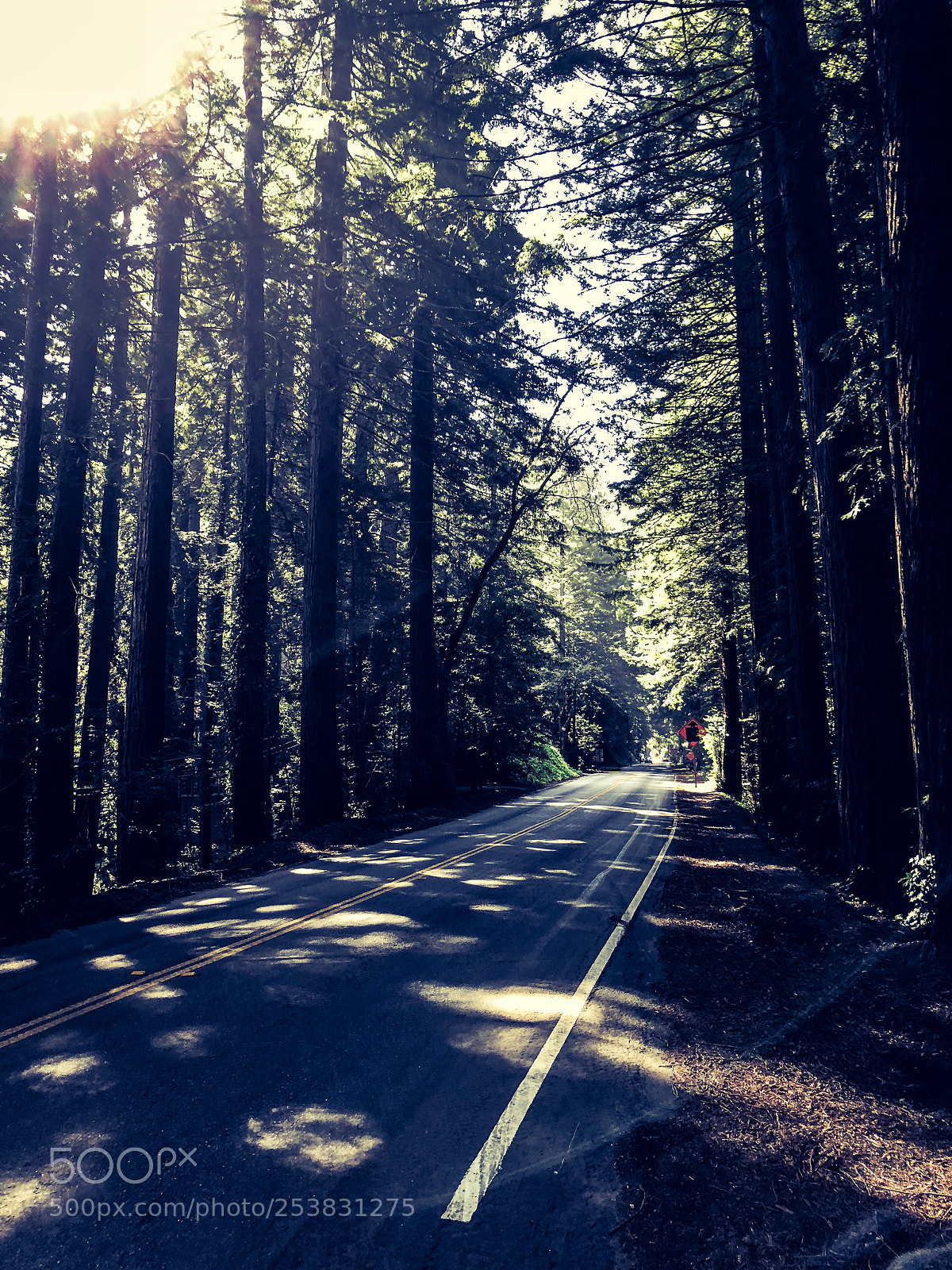 Apple iPhone X sample photo. Road through the mountain photography