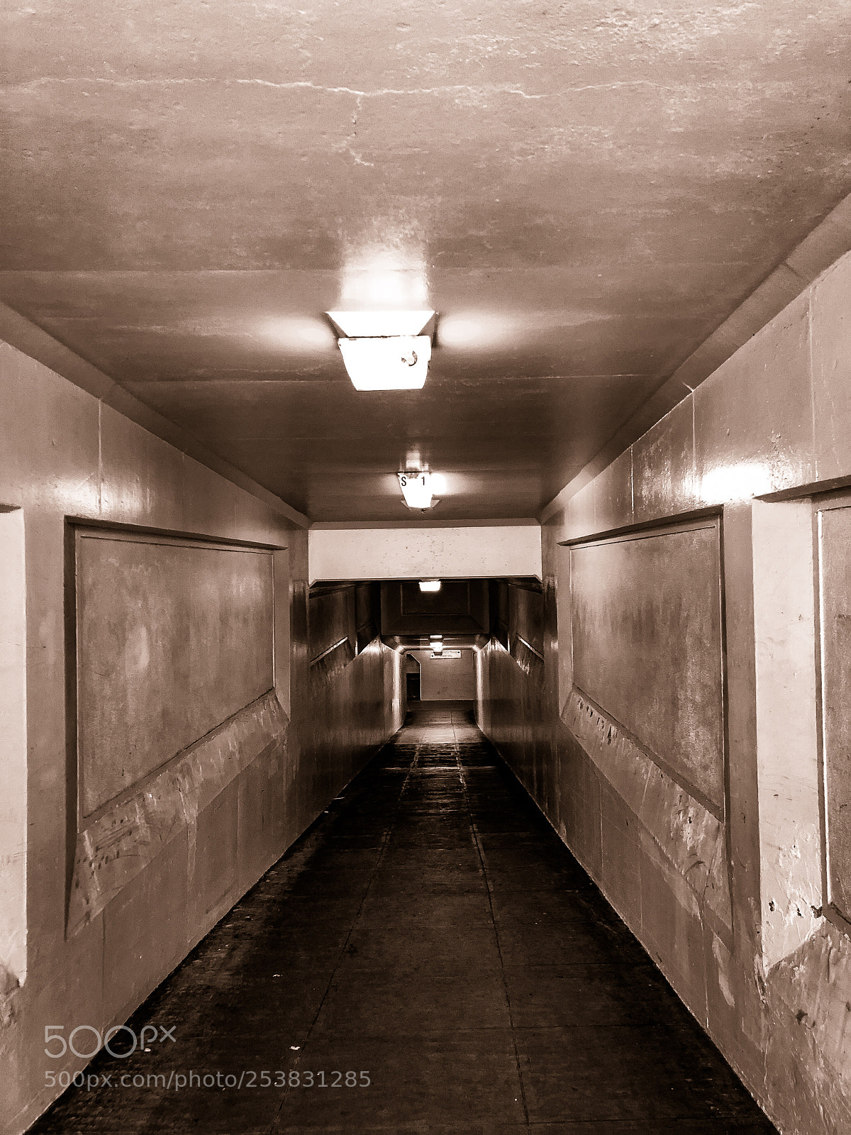 Apple iPhone X sample photo. Walking tunnel photography
