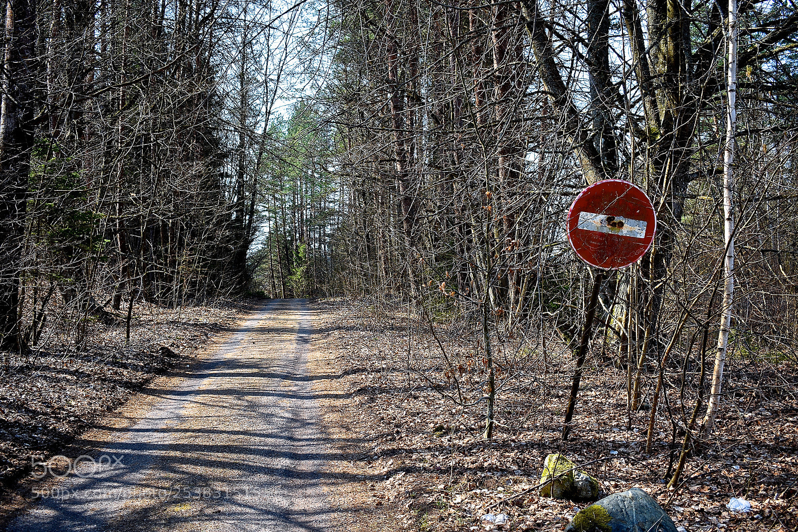 Nikon D3400 sample photo. Wrong way photography