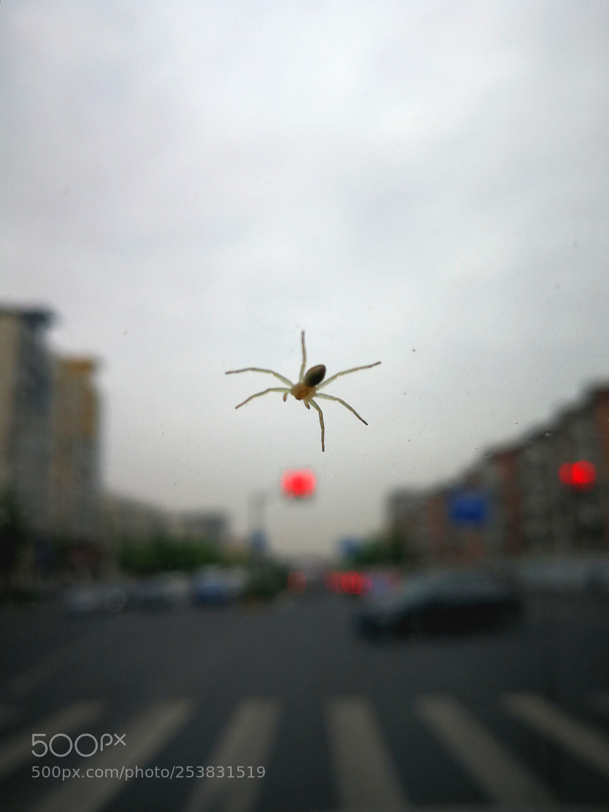 HUAWEI P10 Plus sample photo. 傻孩子！红灯不能吃 photography