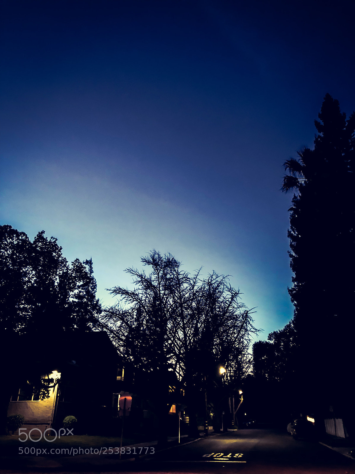 Apple iPhone X sample photo. Clear evening skies photography