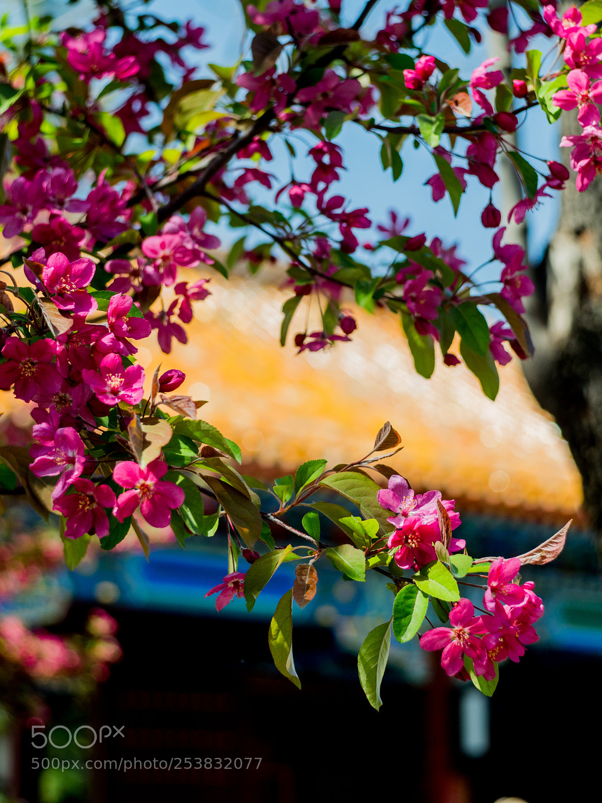 Olympus OM-D E-M1 Mark II sample photo. Untitled photography