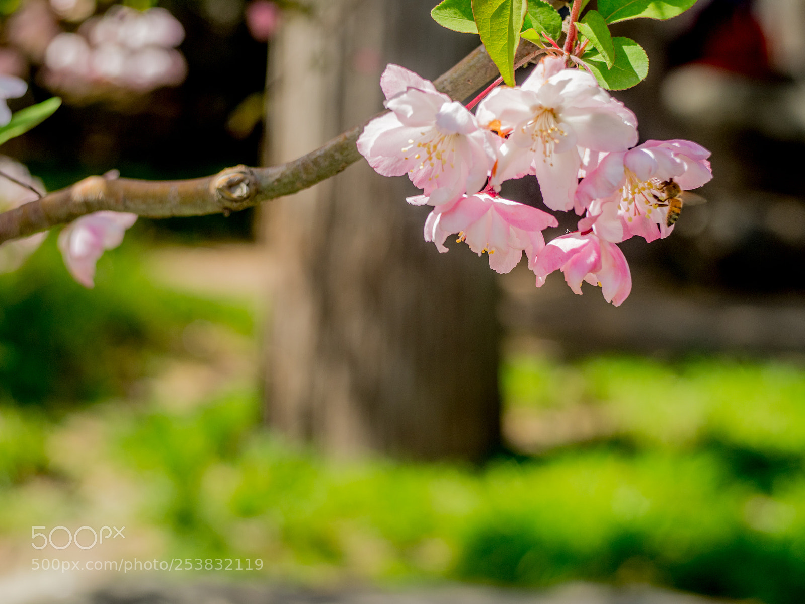 Olympus OM-D E-M1 Mark II sample photo. Untitled photography