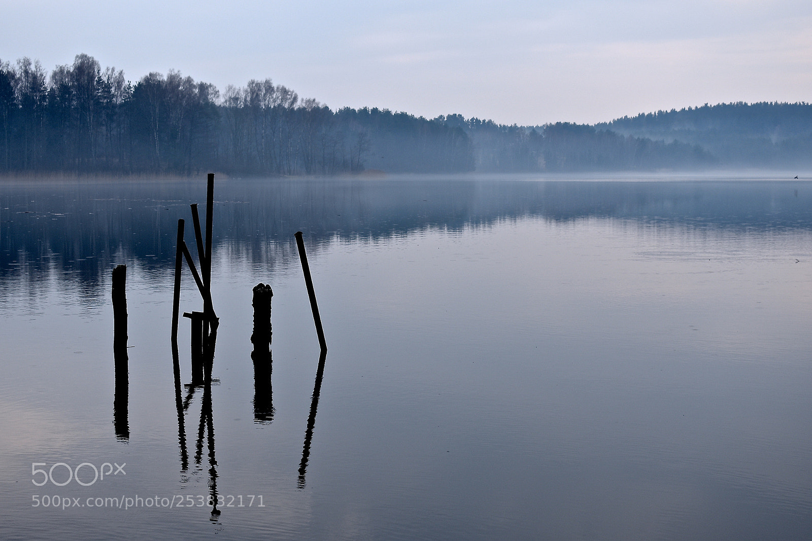 Nikon D3400 sample photo. Misty lake photography