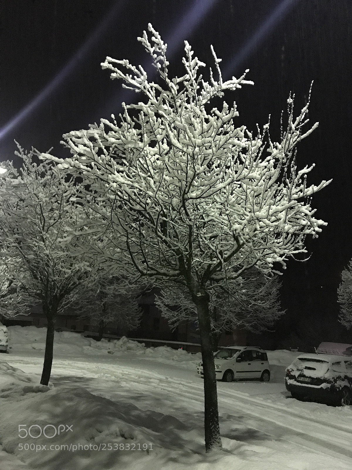 Apple iPhone 7 sample photo. Untitled photography