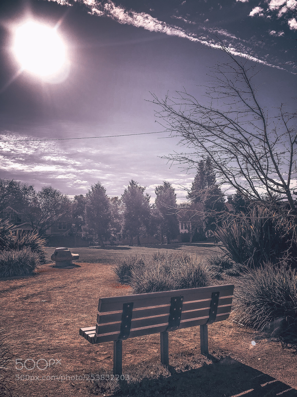 Apple iPhone X sample photo. Park bench under the photography