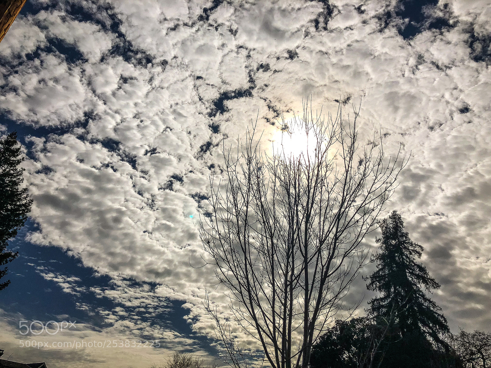 Apple iPhone X sample photo. Img photography