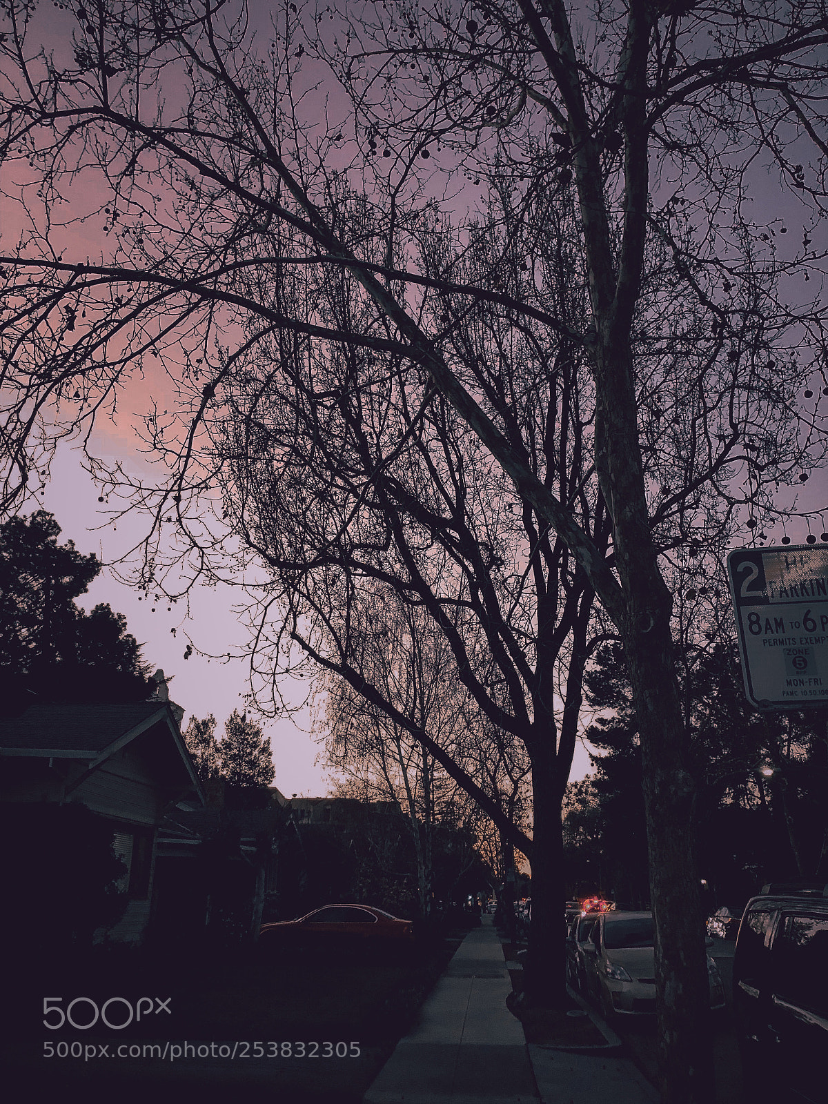 Apple iPhone X sample photo. Colorful evening skies behind photography