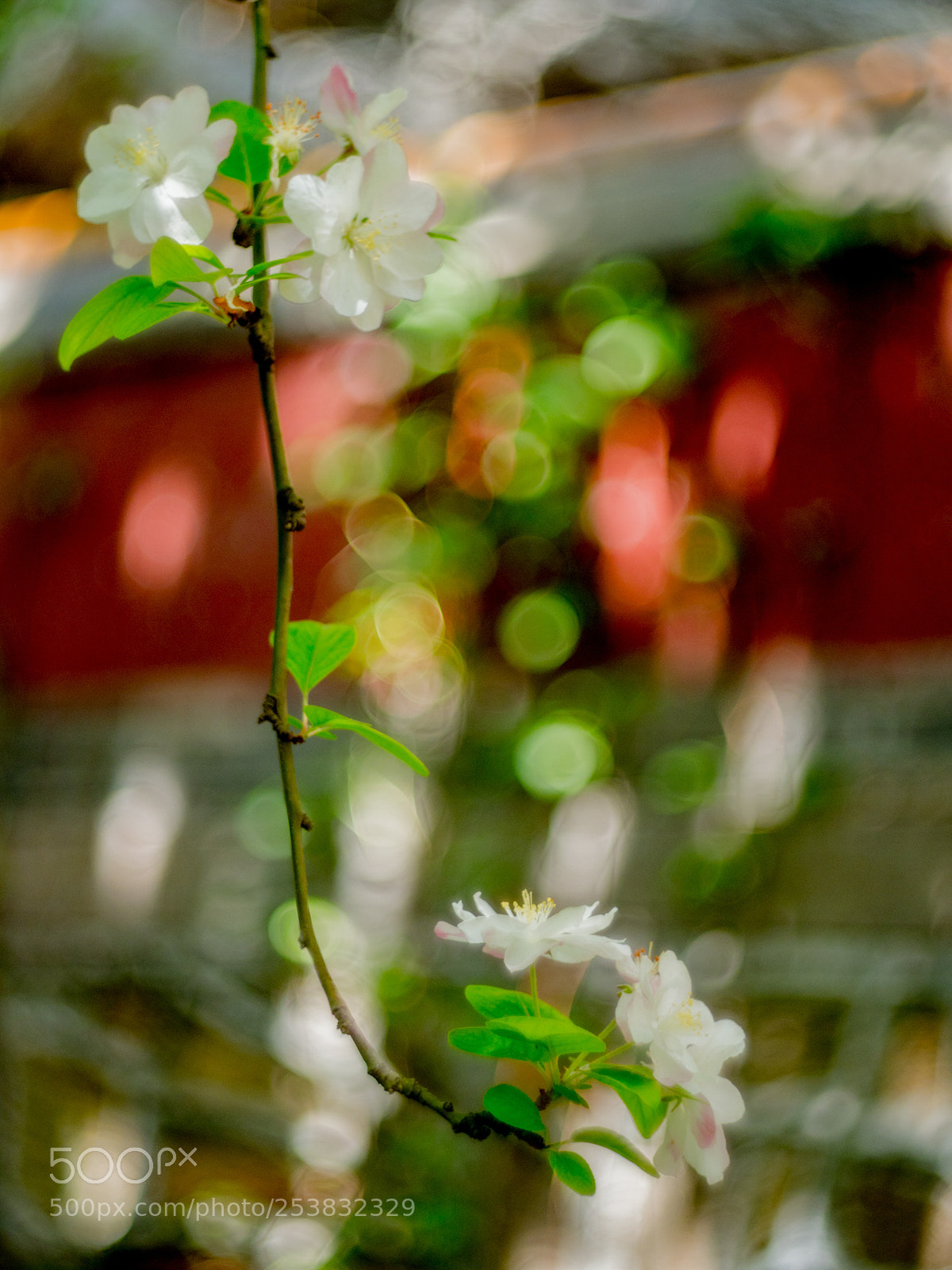 Olympus OM-D E-M1 Mark II sample photo. Untitled photography