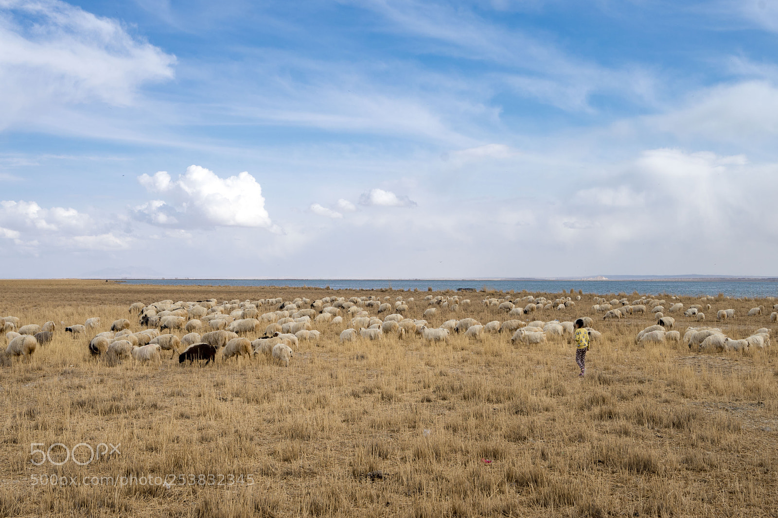 Sony a7 II sample photo. Dsc photography