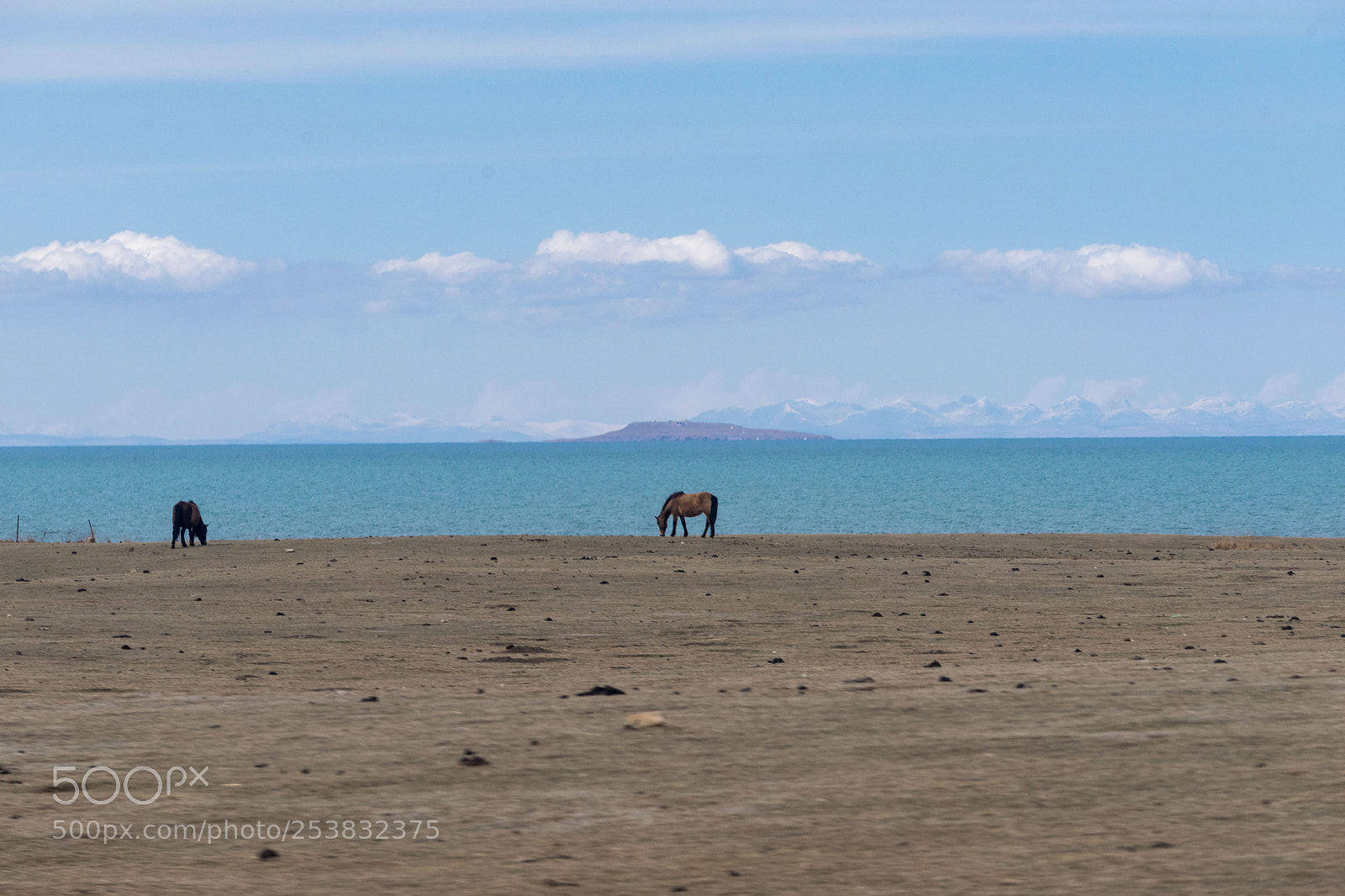 Sony a7 II sample photo. Dsc photography