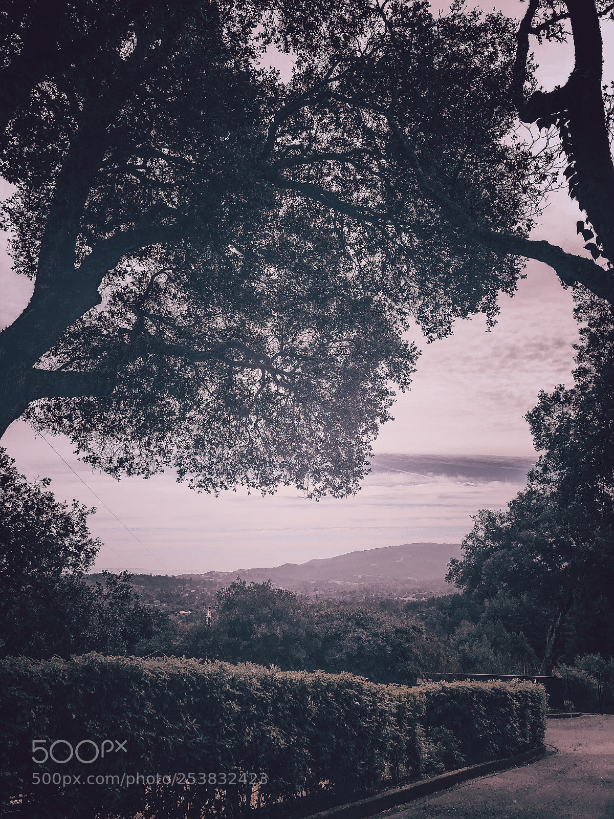 Apple iPhone X sample photo. Valleys from the mountain photography