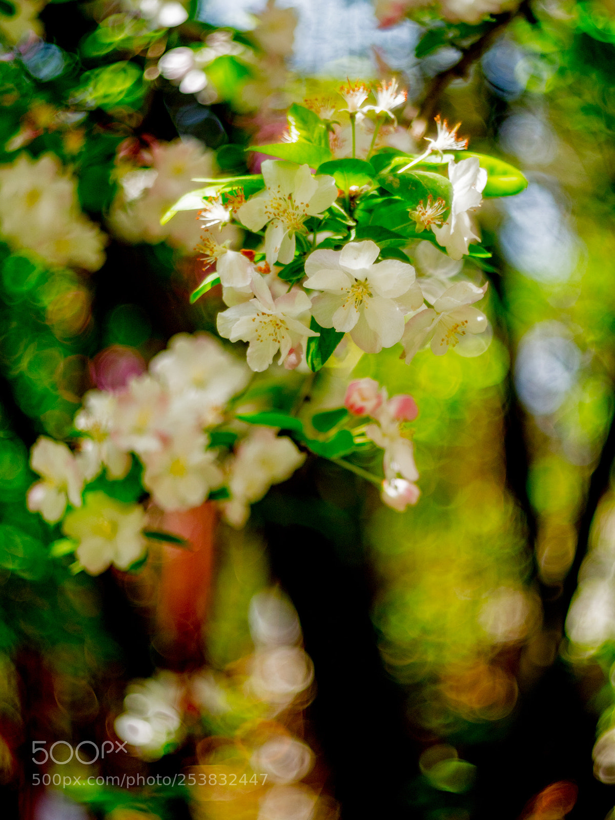 Olympus OM-D E-M1 Mark II sample photo. Untitled photography