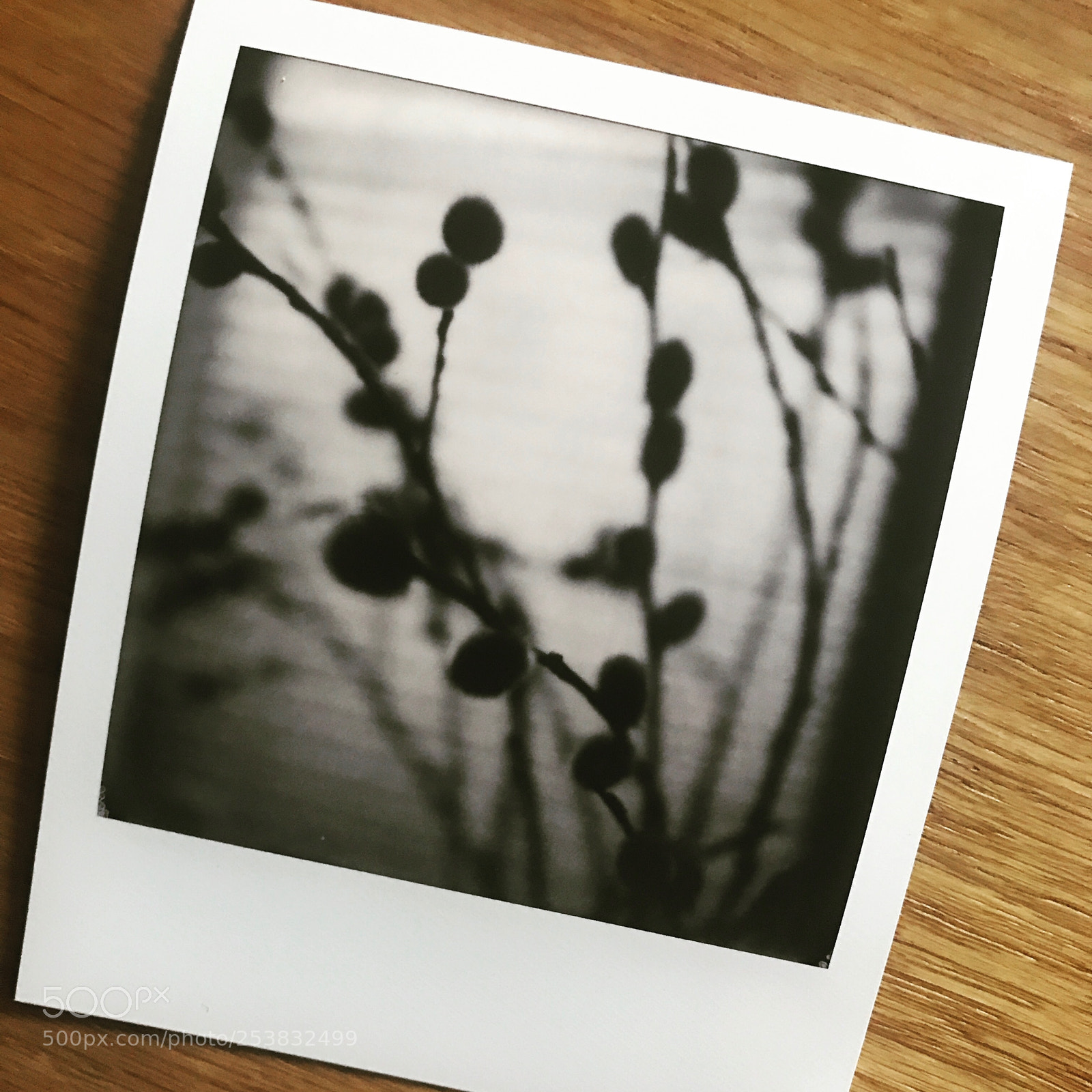 Apple iPhone 7 sample photo. Polaroid v photography