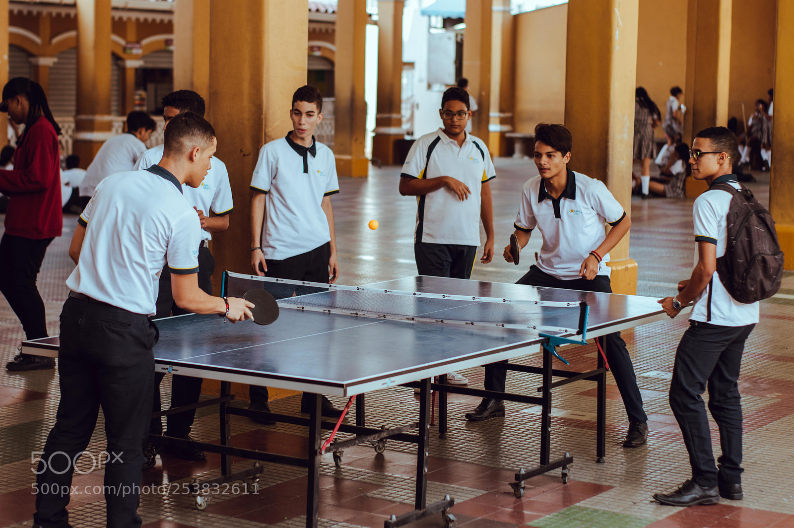 Nikon D3200 sample photo. Freeze 02 photography