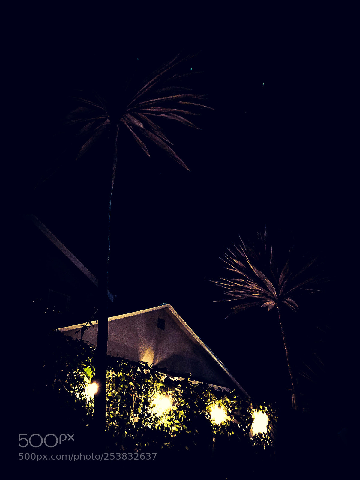 Apple iPhone X sample photo. Lights on the wall photography