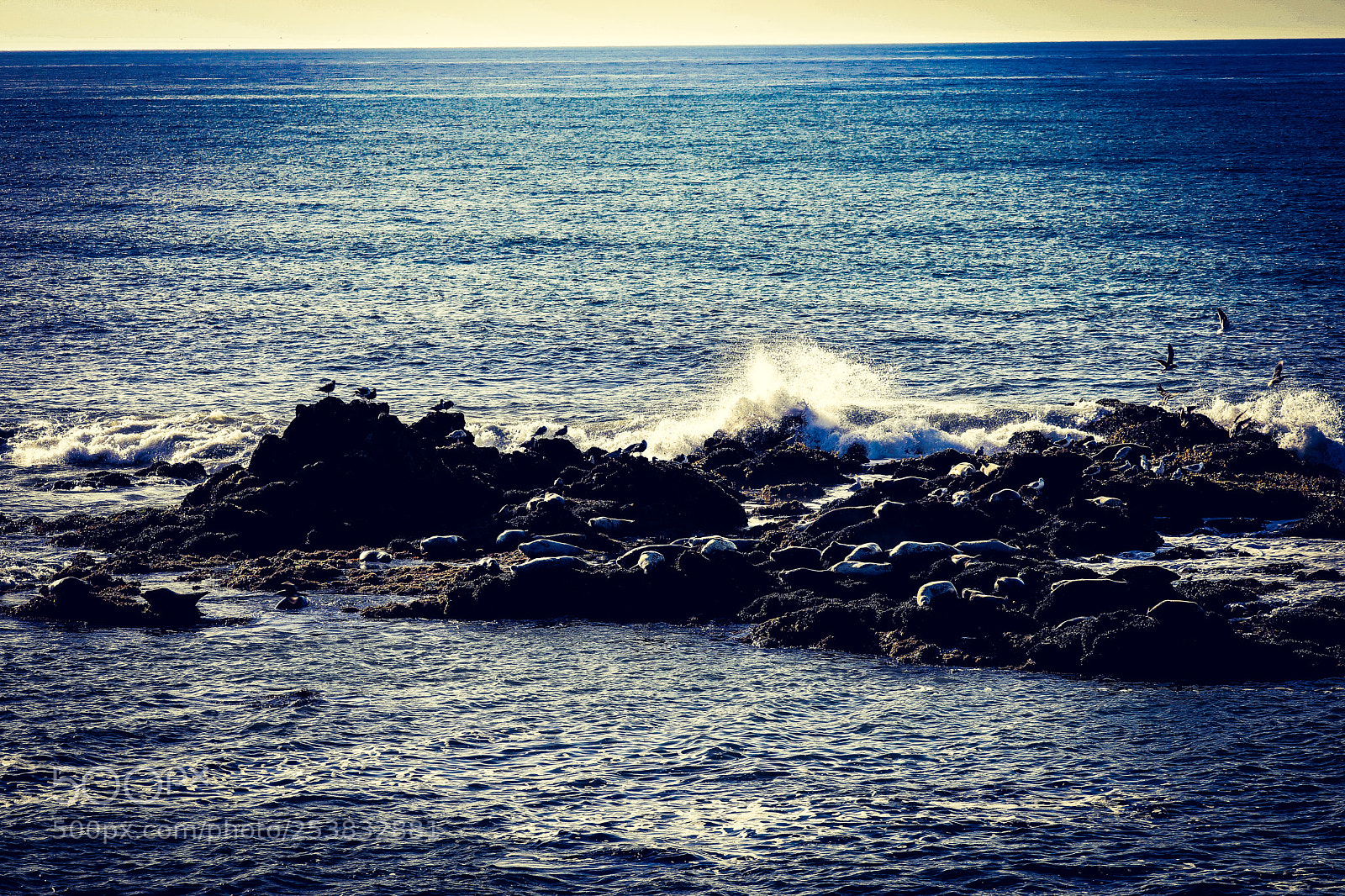 Canon EOS 5D Mark IV sample photo. Waves breaking against the photography