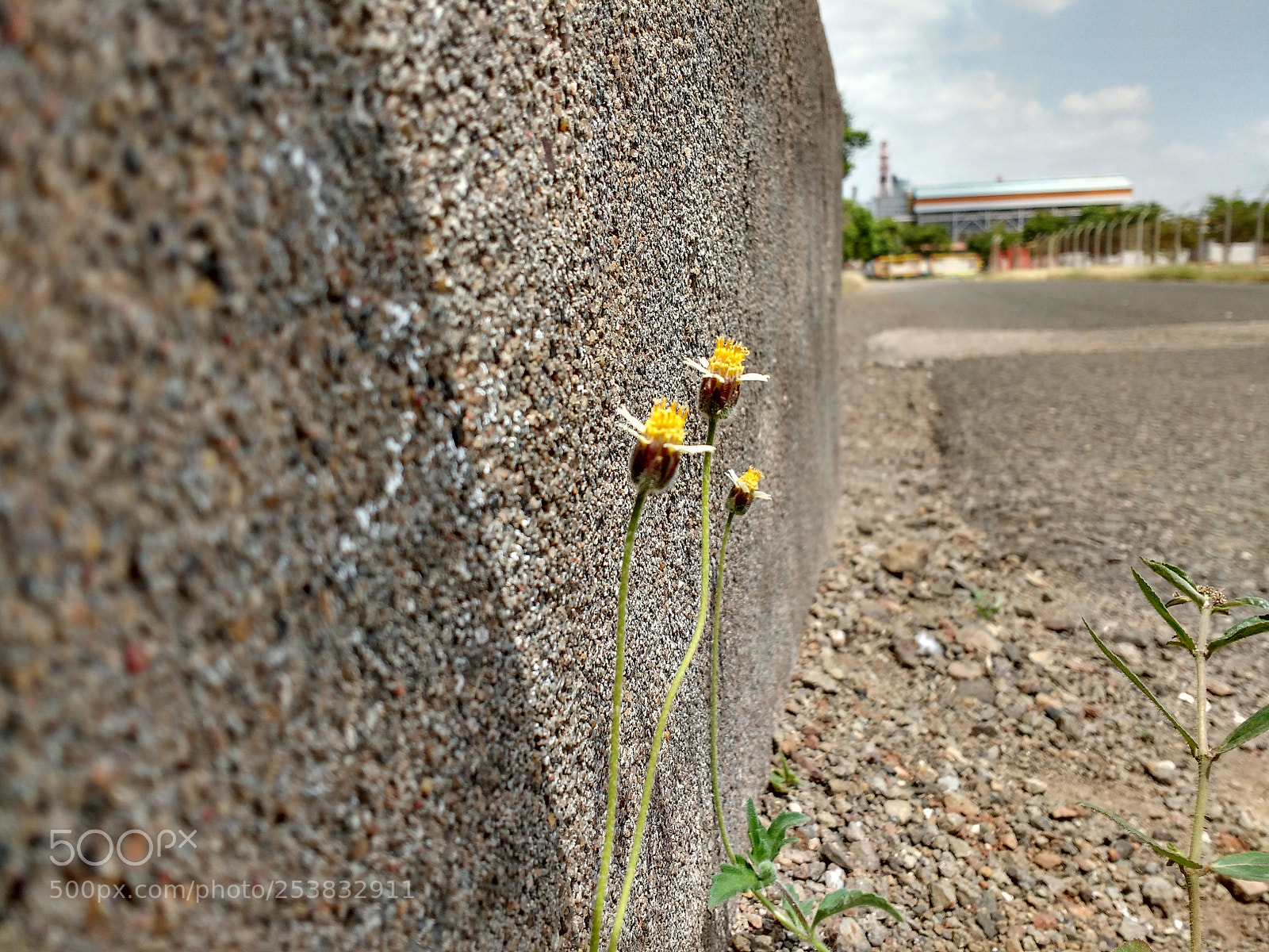 Motorola MotoG3 sample photo. Wall photography