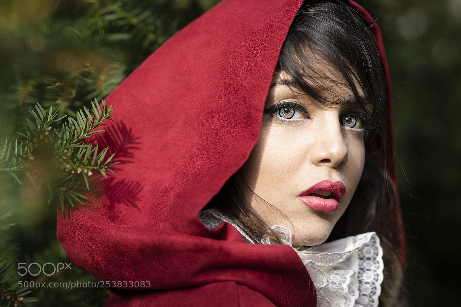 Canon EOS 5D Mark IV sample photo. Like a fairy tale photography