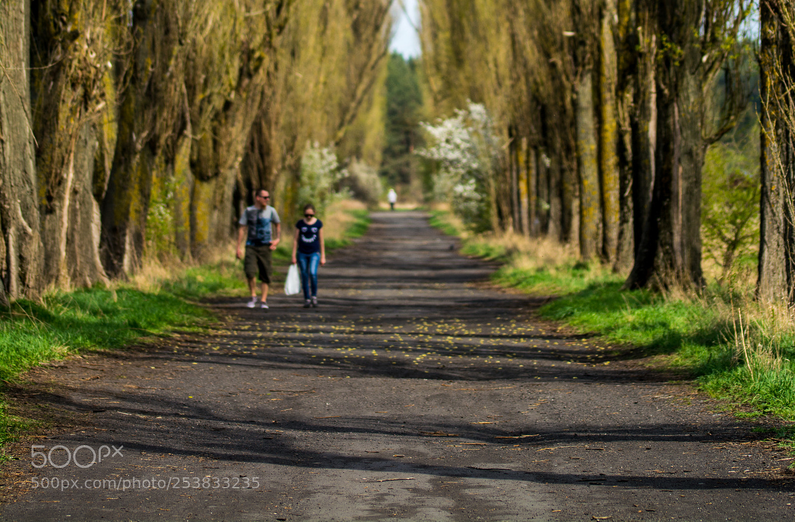 Nikon D5200 sample photo. Spacer photography