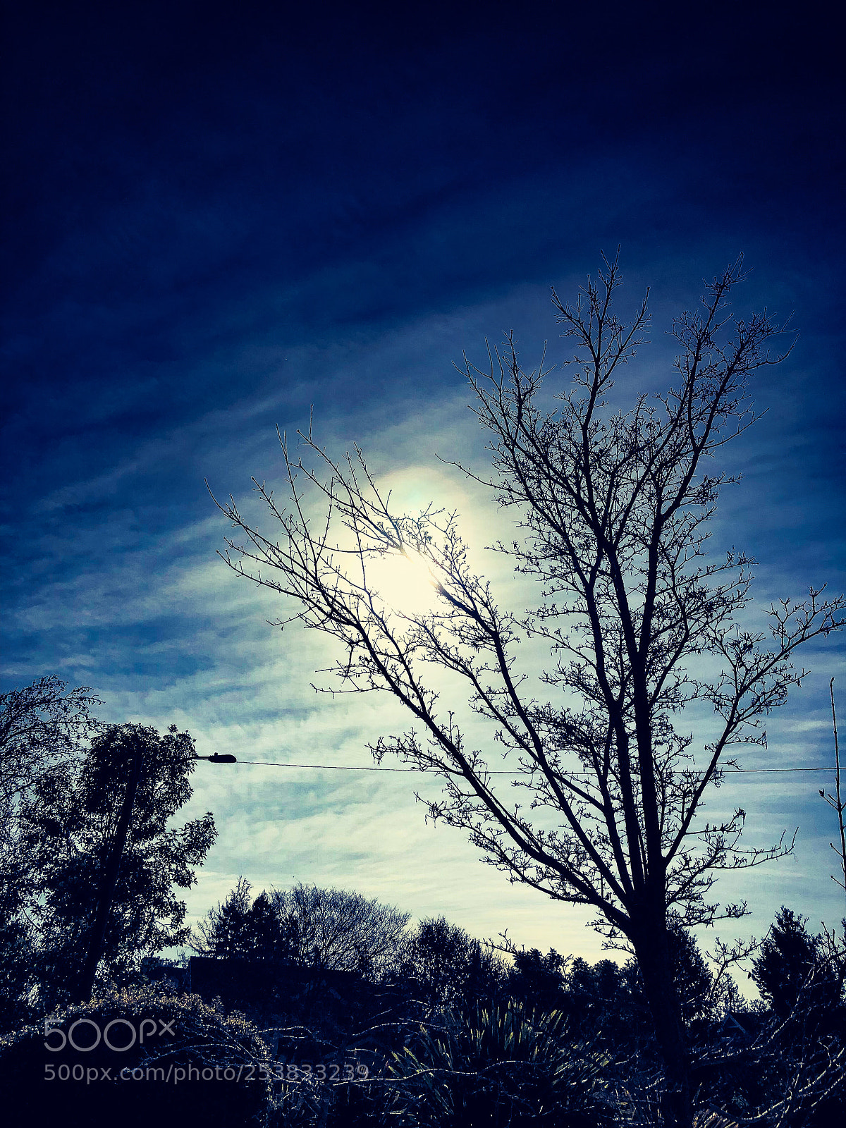 Apple iPhone X sample photo. Img photography