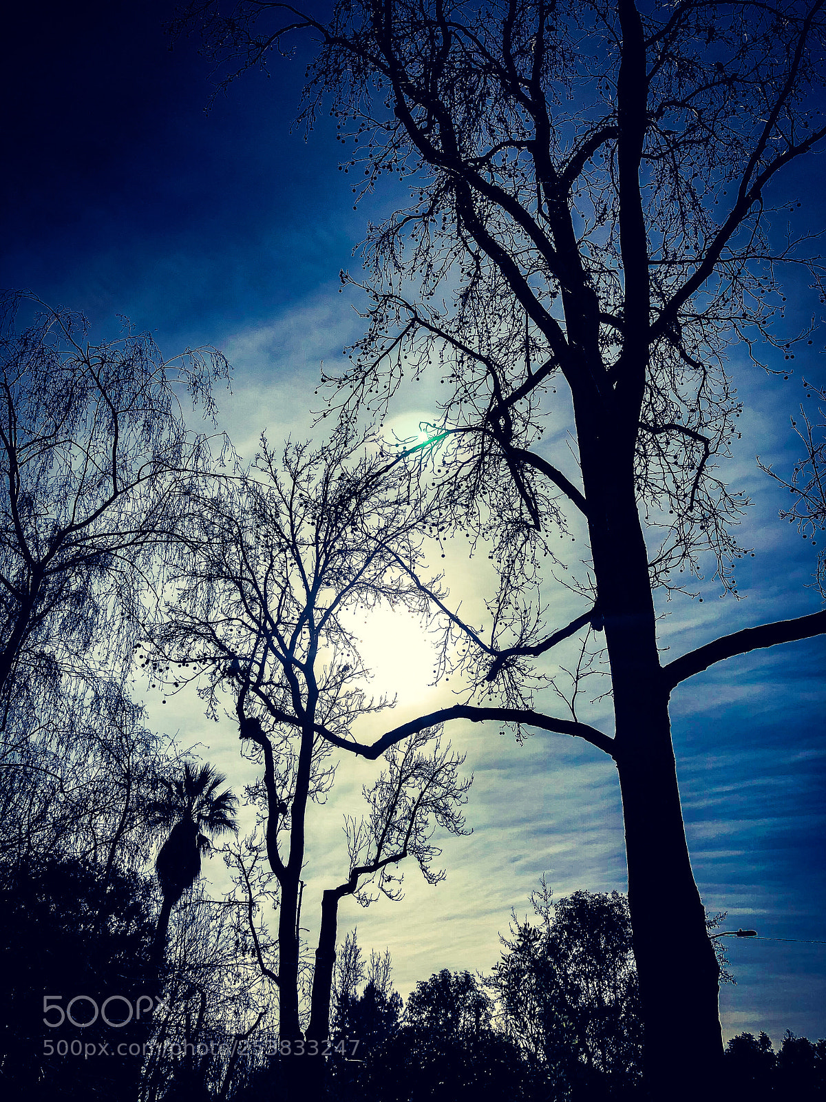 Apple iPhone X sample photo. Img photography
