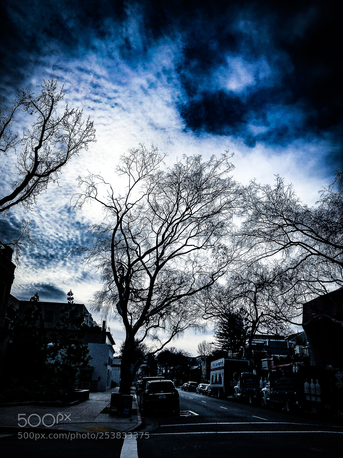 Apple iPhone X sample photo. Trees under troubled skies photography