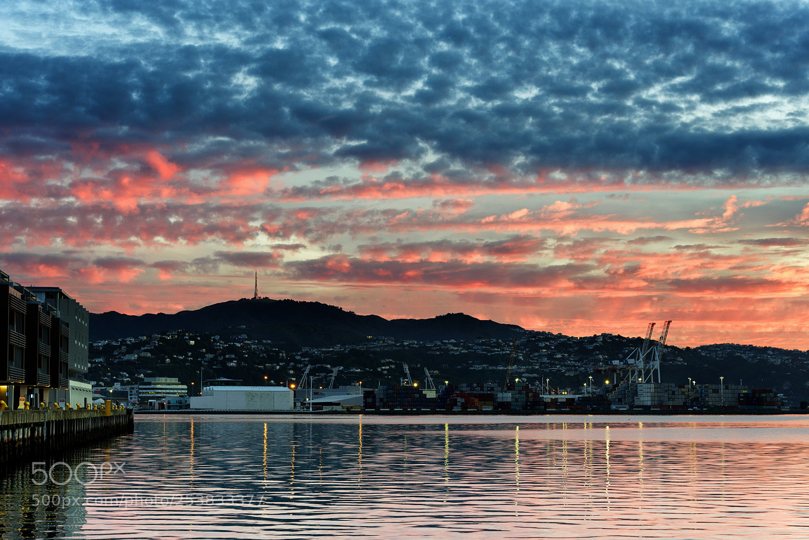 Nikon D750 sample photo. Wellington waterfront dawn photography