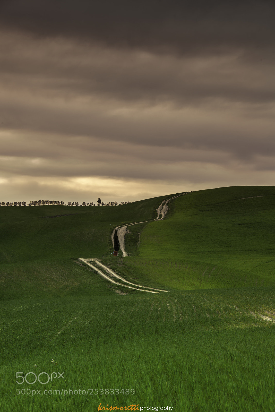 Nikon D600 sample photo. Val d’orcia photography