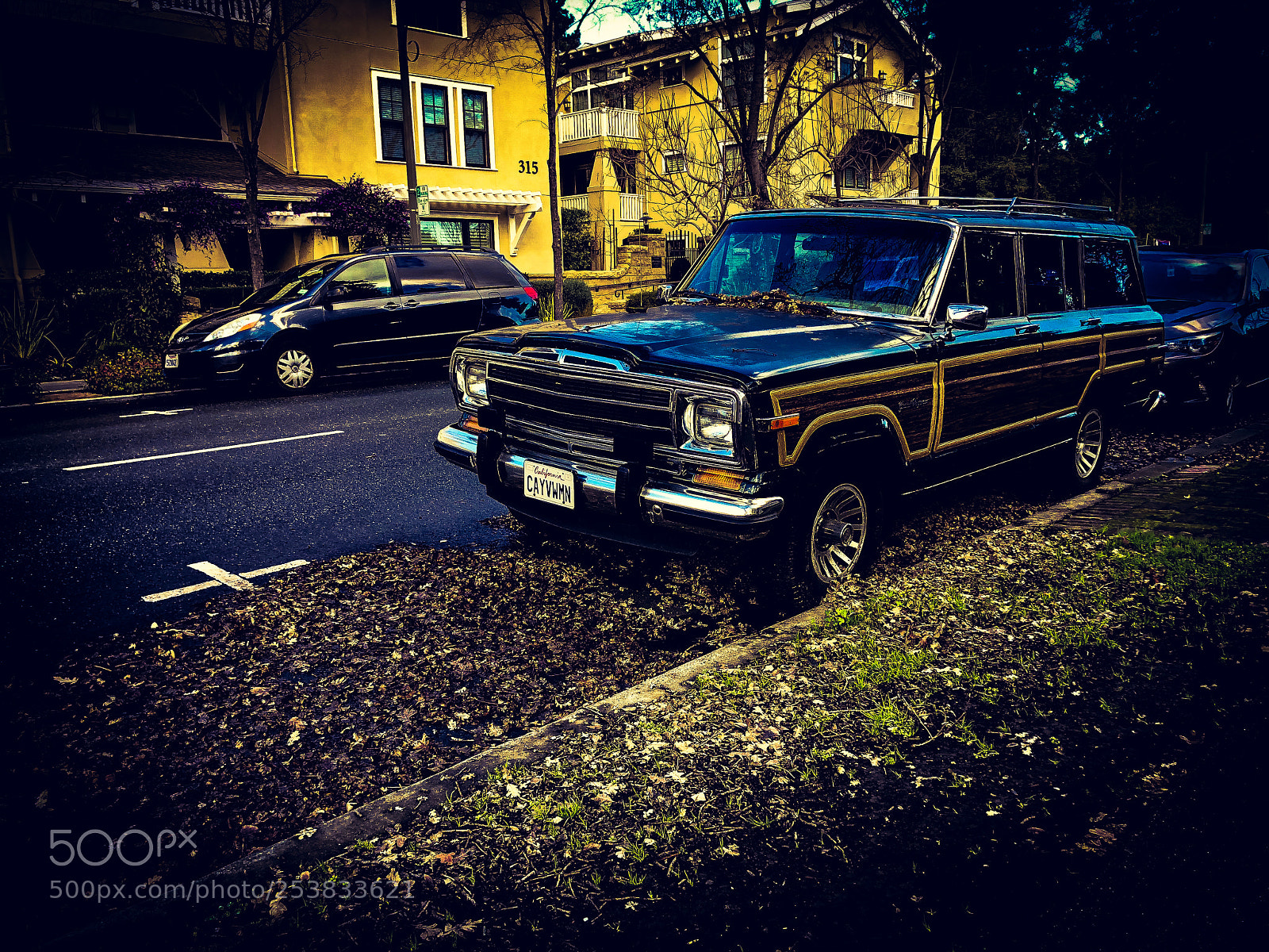 Apple iPhone X sample photo. Old car with leafs photography