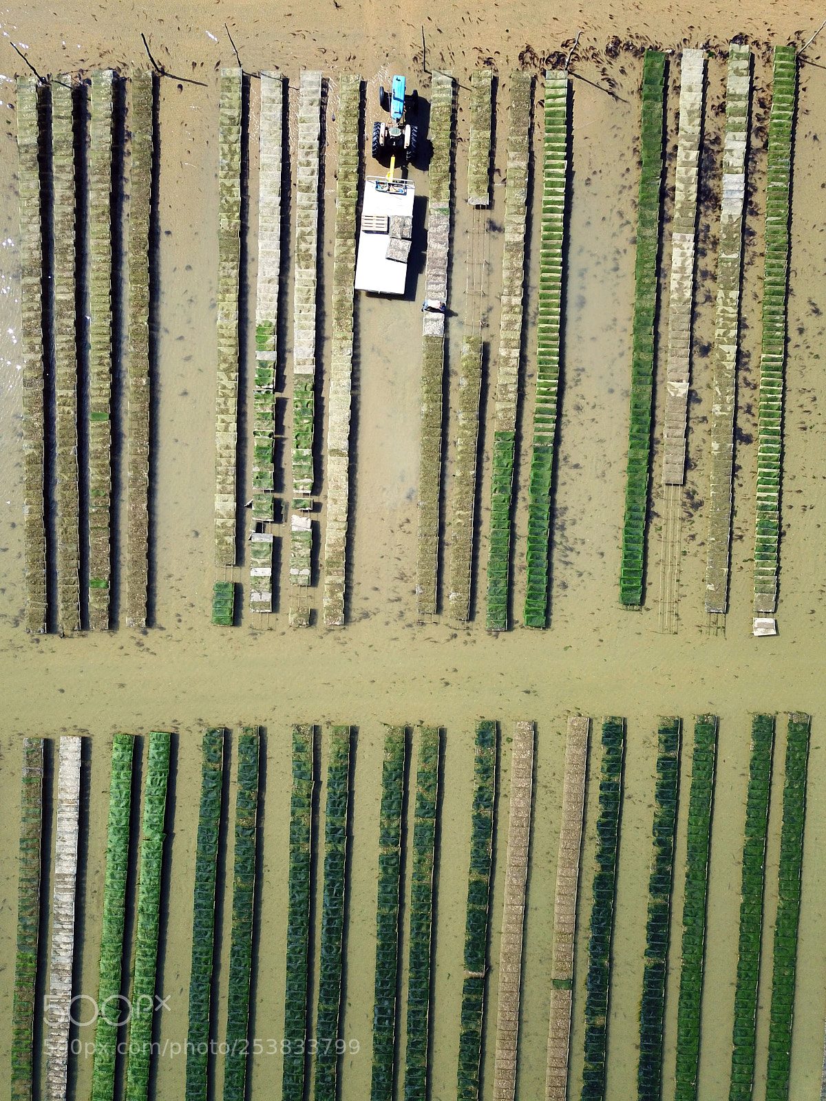 DJI FC220 sample photo. Ostréiculteur ferret capien photography