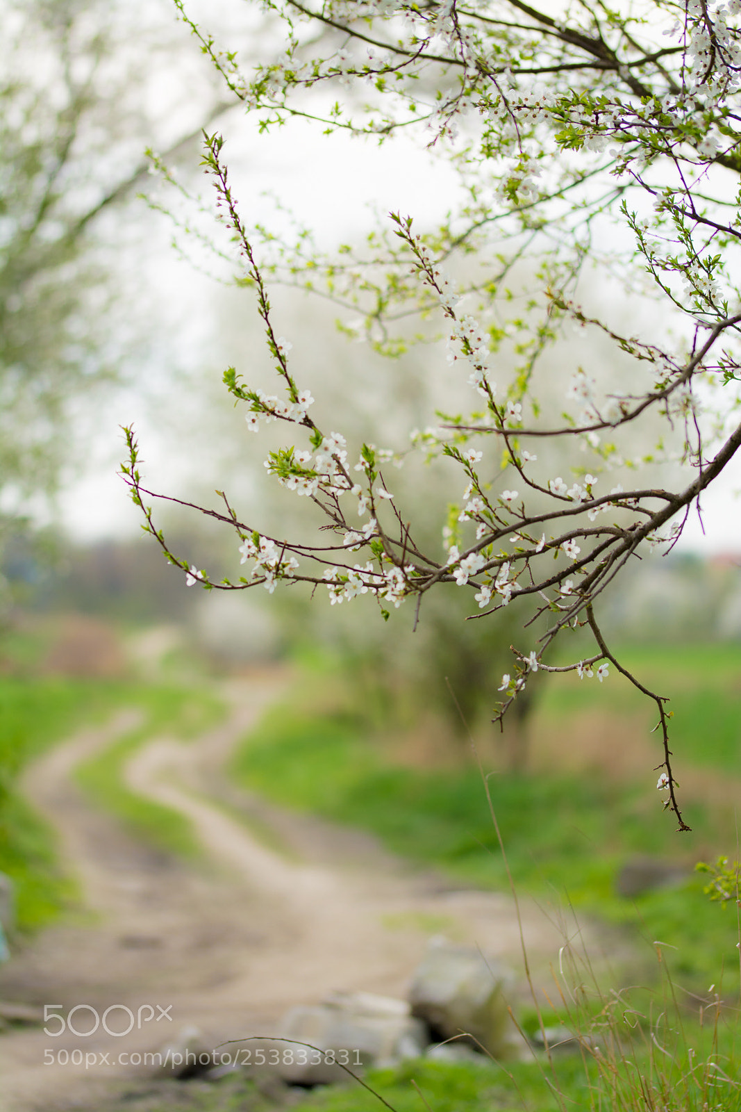 Nikon D5200 sample photo. Nature photography